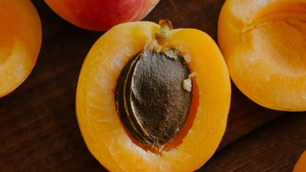 Morele są pełne zdrowia