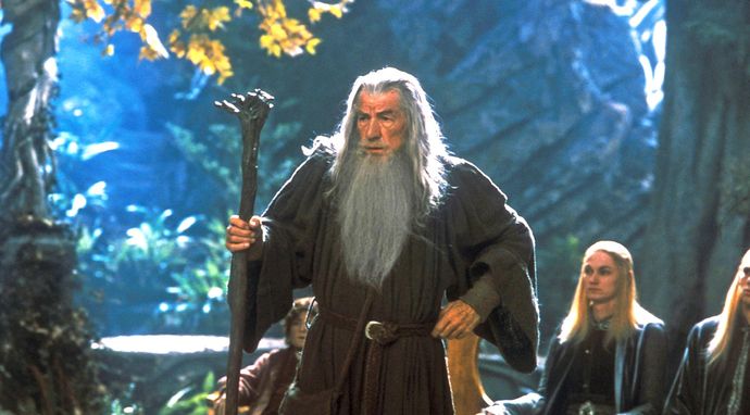 Władca Pierścieni: Drużyna Pierścienia