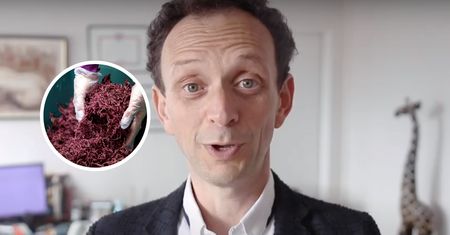 Regeneruje komórki w wątrobie. Hepatolog zaleca jeść jak najczęściej
