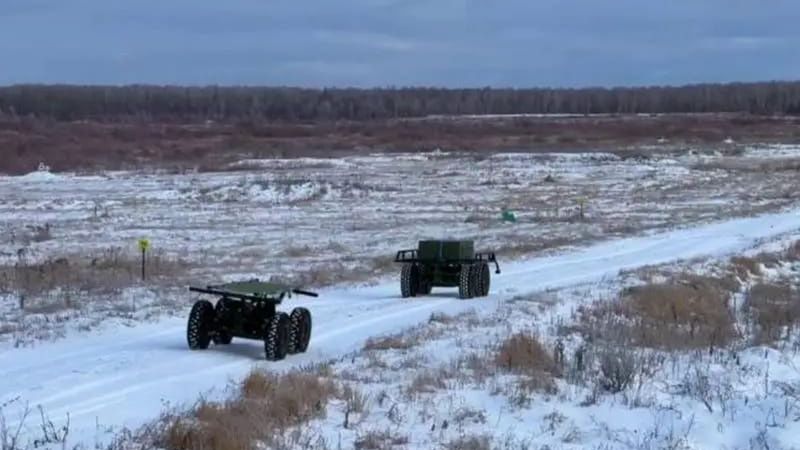 Roboty Diepiesza - zdjęcie ilustracyjne