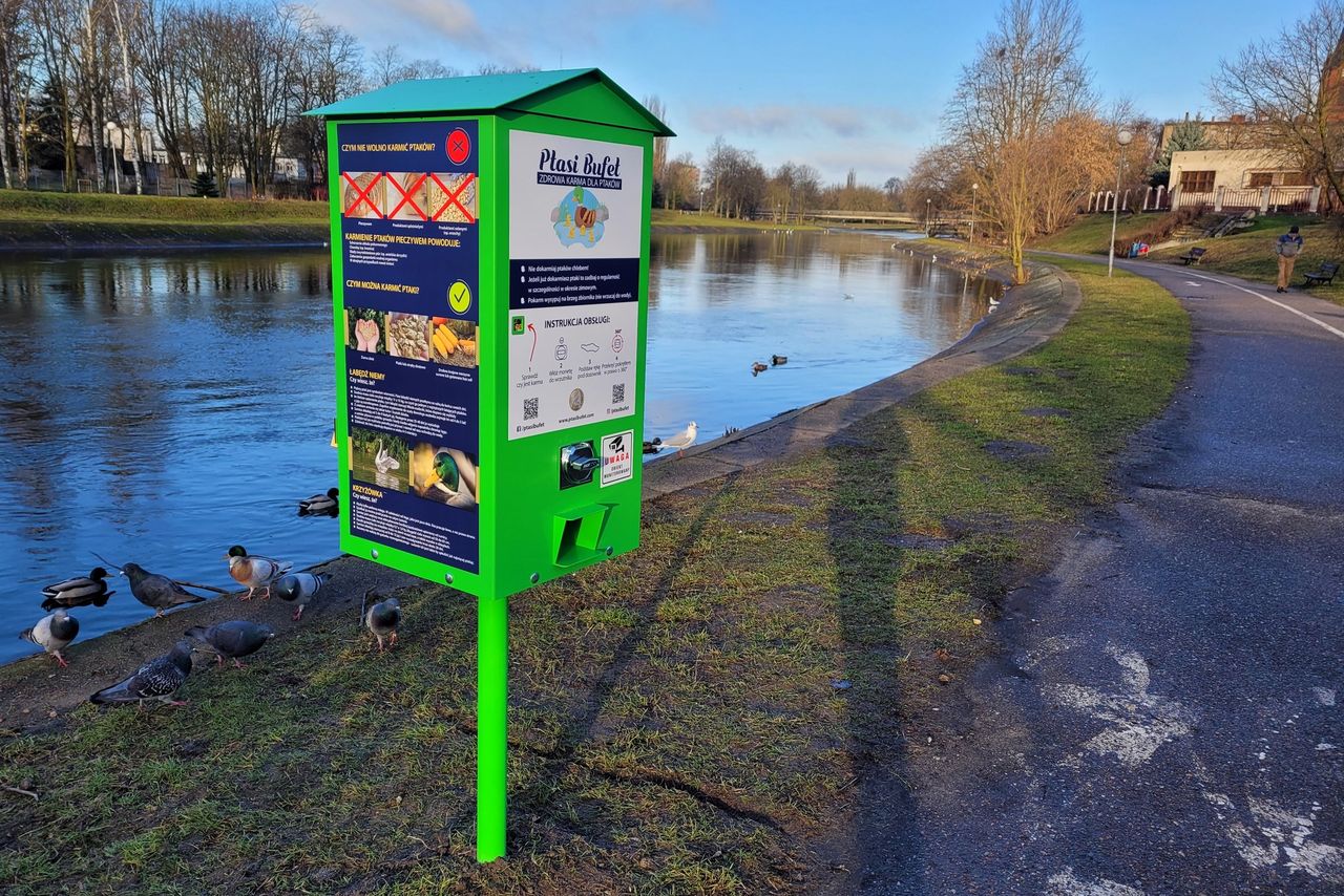 Nad Gwdą stanęły automaty z karmą dla ptactwa