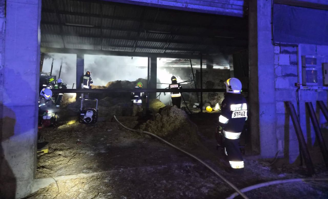 Topola: Pożar budynku inwentarskiego. Z ogniem walczyło 48 strażaków