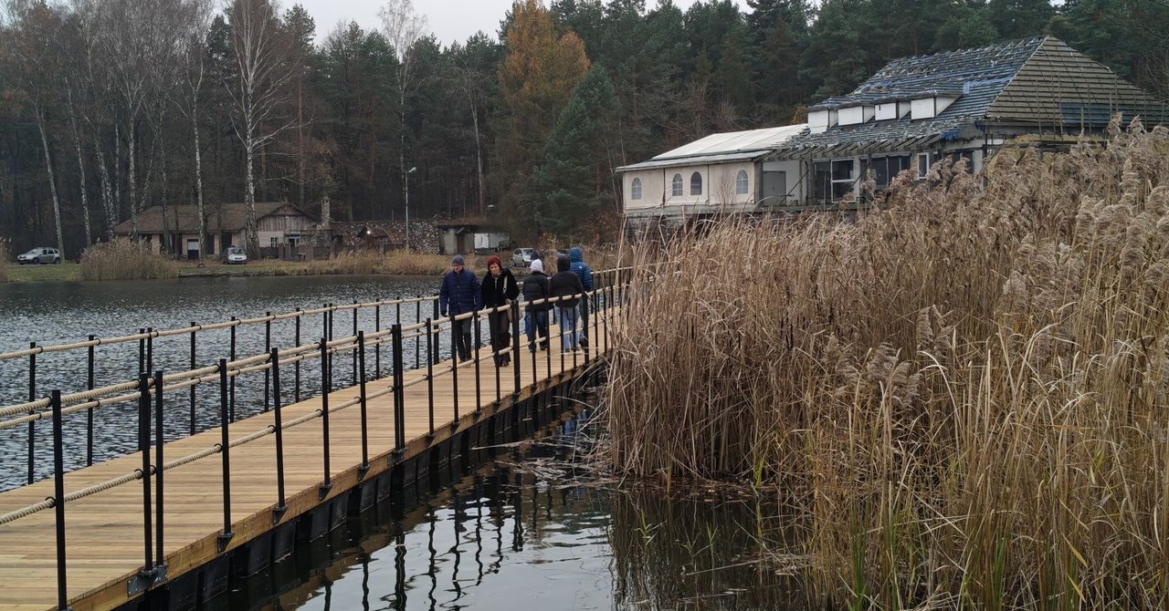 Sosnowiec: Nowe oblicze Balatonu dzięki inicjatywie obywatelskiej