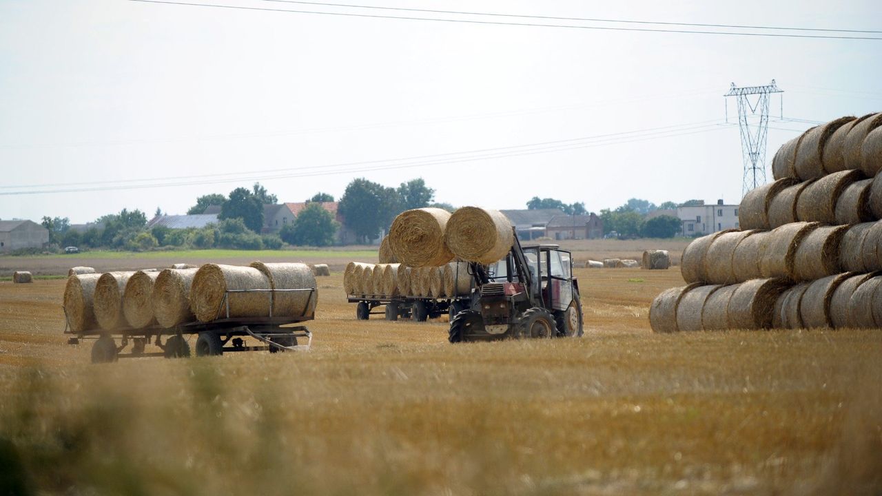 Znamy zwycięzców Ogólnokrajowego Konkursu „Bezpieczne Gospodarstwo Rolne”. Kto wygrał w woj. podlaskim?
