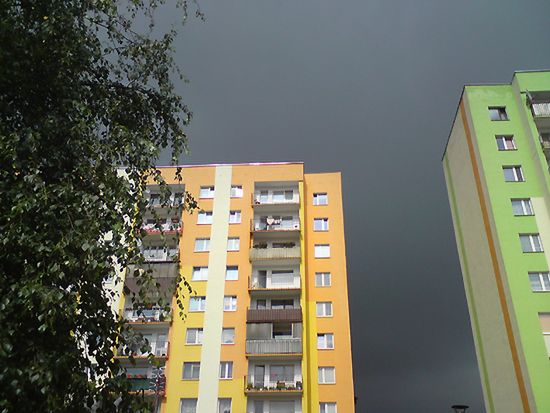 Obraz