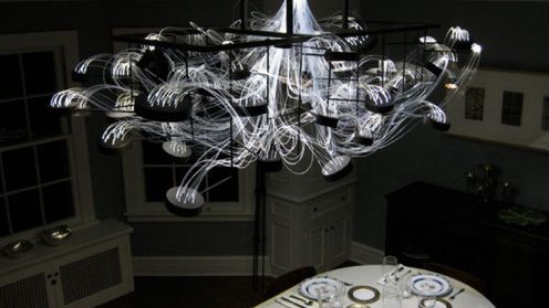 Bacterioptica - ten żyrandol żyje?! 1