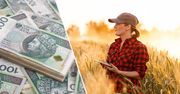 Dostałeś ziemię rolną od rodziny? Tak łatwo jej nie sprzedasz i nie wydzierżawisz