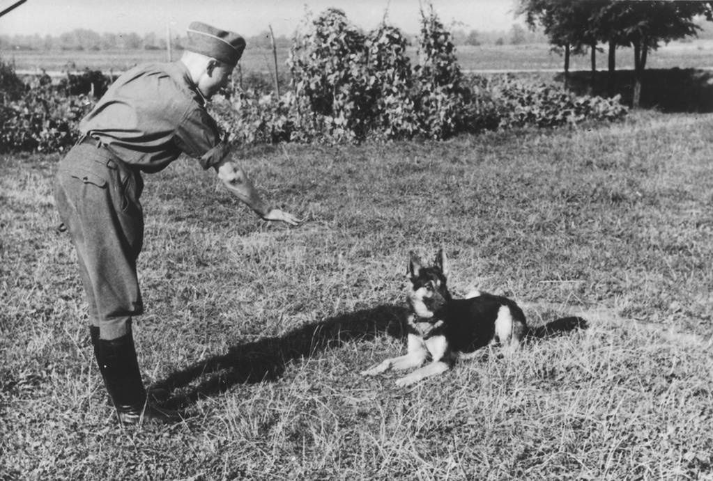 Naziści chcieli wykorzystywać psy jako szpiegów oraz strażników obozów koncentracyjnych (na zdj. Karl Höcker ze swoim ulubionym psem)