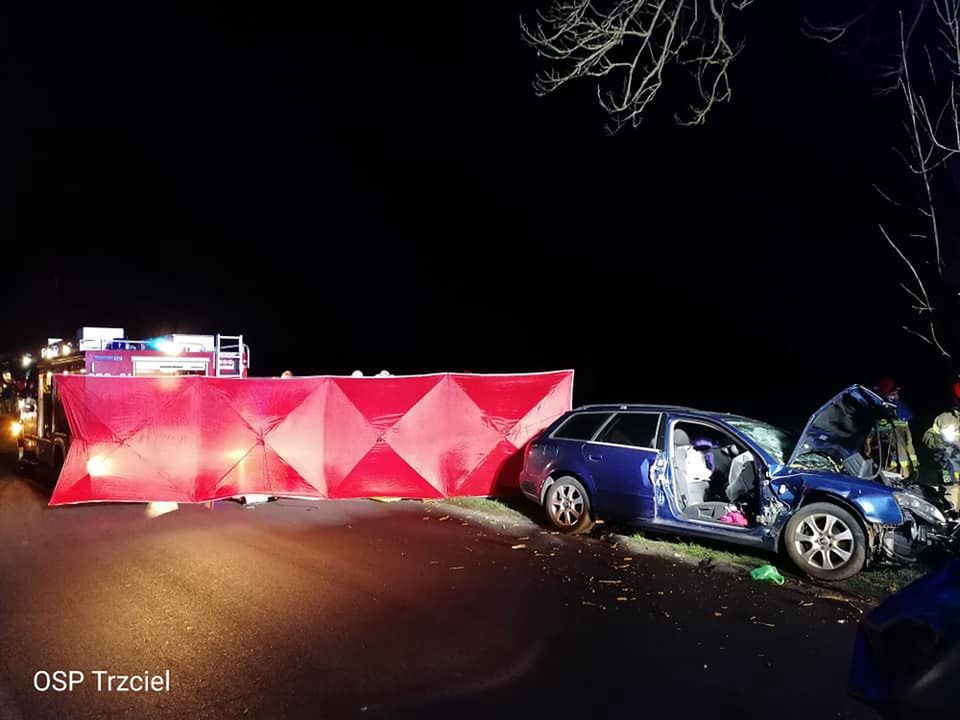 Śmiertelny wypadek w Trzcielu. Audi uderzyło w drzewo.