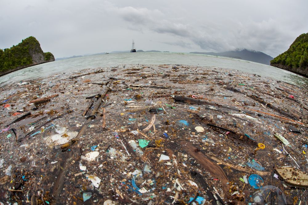 Wyspa śmieci na Pacyfiku 5 razy większa od Polski. "Niedługo w oceanach będzie pływać więcej plastiku niż ryb"