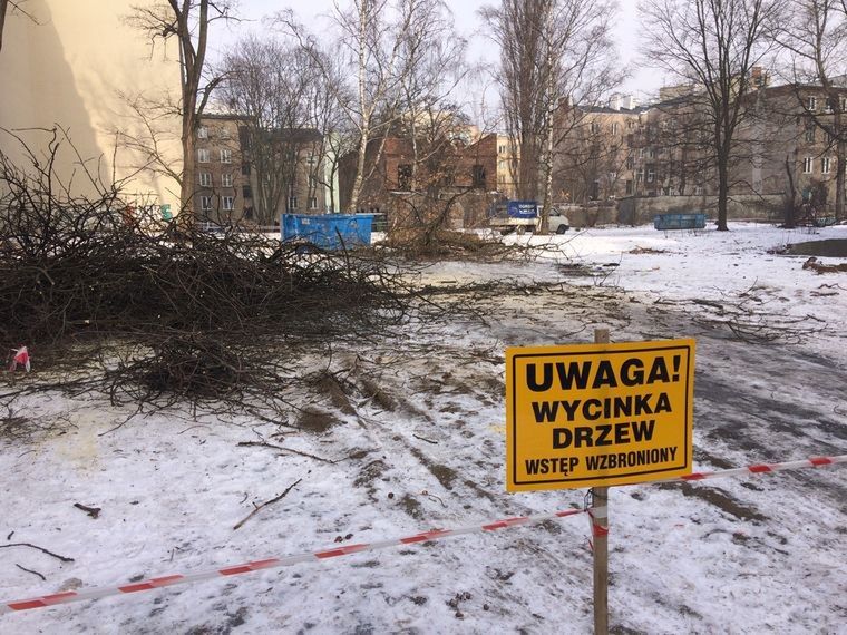 Mieszkańcy Pragi walczą z wycinką drzew. "Ustawa o ochronie przyrody to obchodzenie prawa!"