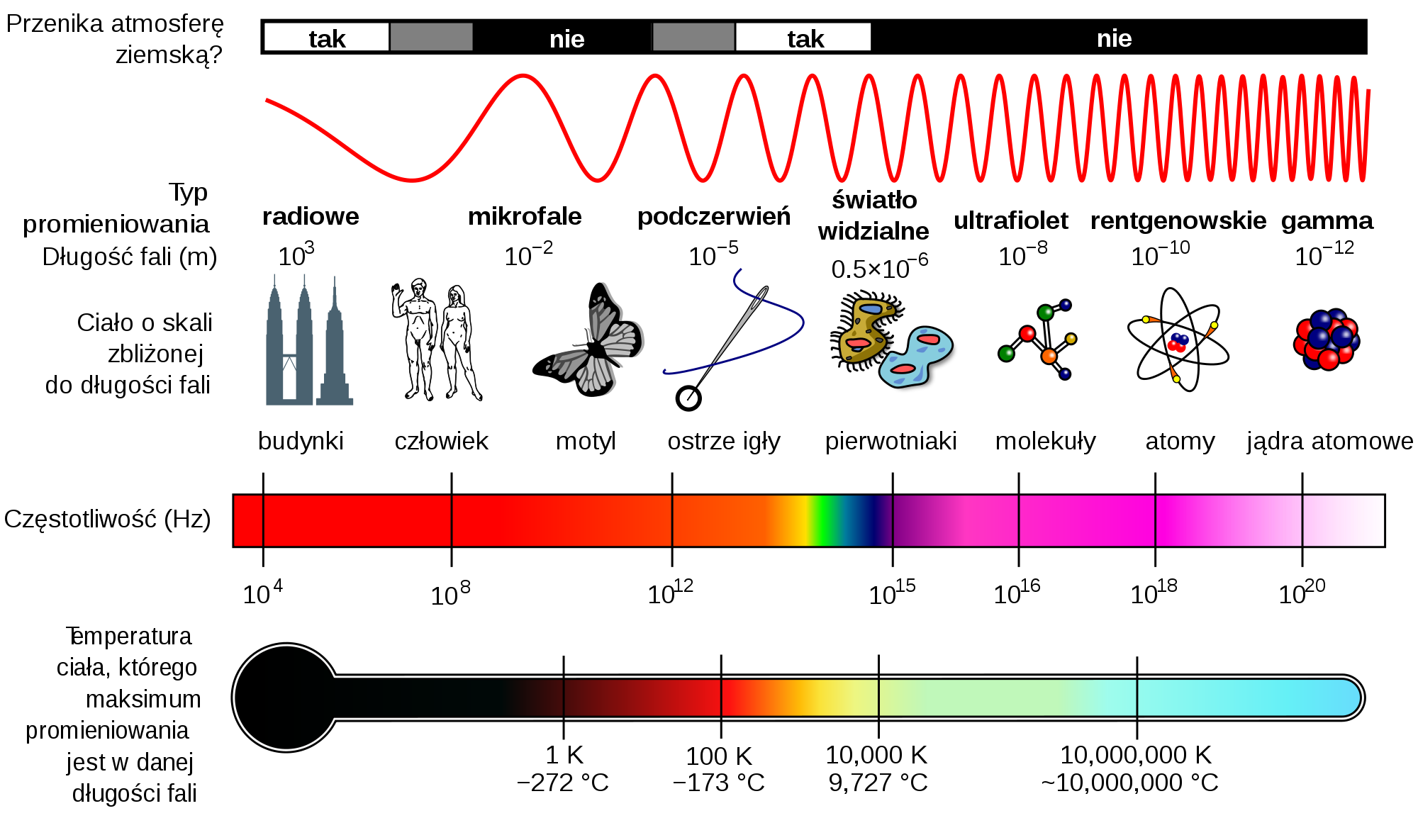 Widmo pola elektromagnetycznego (źródło: Wikipedia)