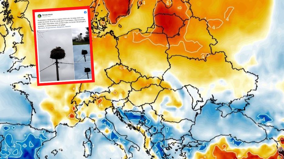 Pogoda. Wiosna niebawem? Maciek już jest