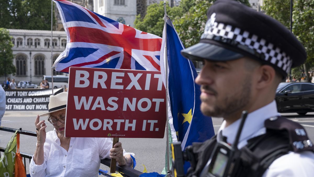 Anti Conservative Protesters In London
Anti-Brexit protester as they continue their campaign against Brexit and the Conservative government alongside fellow protesters in Westminster on 13th July 2022 in London, United Kingdom. Protesters gathered outside Downing Street prior to the weekly Prime Ministers Questions (PMQs) which will be Boris Johnson's penultimate one. (photo by Mike Kemp/In Pictures via Getty Images)
Mike Kemp
london, britain, united kingdom, protesters, protesting, demo, demonstration, demonstrators, westminster, remain, remainers, anti brexit, european, eu, police