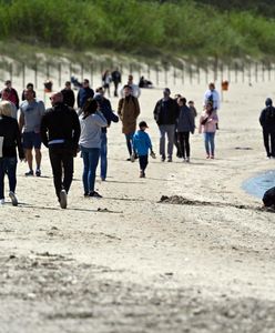 Zrobiłeś błąd w spisie powszechnym? Możesz ponieść surową karę