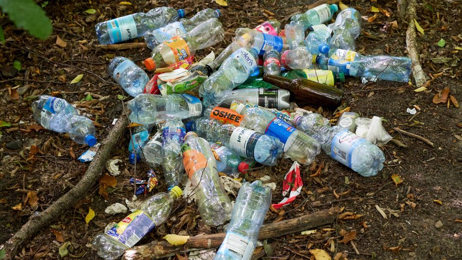 Sprzatanie Lasu Zwierzynieckiego.Bialystok, 24.07.2019. Inicjatywa spoleczna Miejskie sprzatanie Lasu Zwierzynieckiego; n/z smieci w lesie butelki PET.,Image: 460711256, License: Rights-managed, Restrictions: , Model Release: no, Credit line: Anatol Chomicz / ForumAnatol Chomicz / Forumsmieci w lesie, smutna rzeczywistosc, las zasmiecony, podlasie, ilustracja, zasmiecanie, bezmyslnosc, drzewo, drzewa, inicjatywa spoleczna, Miejskie sprzatanie Lasu Zwierzynieckiego, Bialystok, rezerwat przyrody las zwierzyniecki, plastikowe butelki PET, category_code_ilu, category_code_env