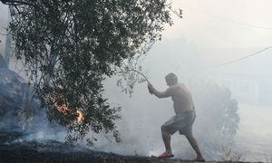 Gwałtowne pożary w Grecji. "To wygląda jak dzień Sądu Ostatecznego"