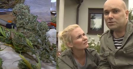 Chory polityk walczy o medyczną marihuanę: "Państwo skazuje mnie, abym szukał po Warszawie dilerów"