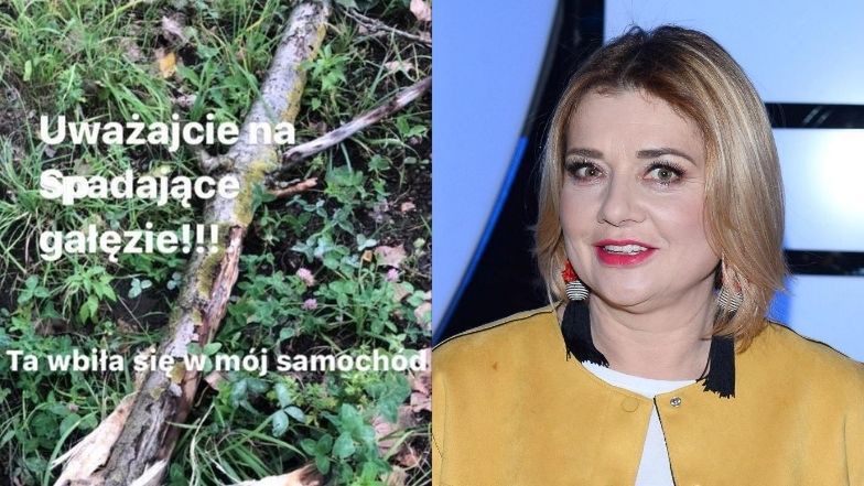 Małgorzata Ostrowska-Królikowska przestrzega przed spadającymi gałęziami