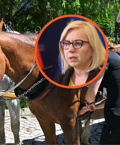 "Mamy zakupione busy". Ministra zapowiada zmiany w transporcie