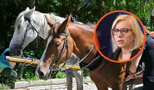 "Mamy zakupione busy". Ministra zapowiada zmiany w transporcie