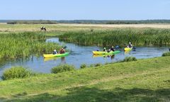 Burza wokół nowego bonu turystycznego. "Dziadów z nas robią"