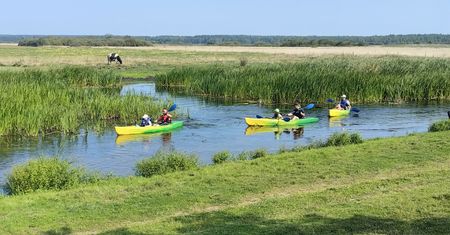 Burza wokół nowego bonu turystycznego. "Dziadów z nas robią"