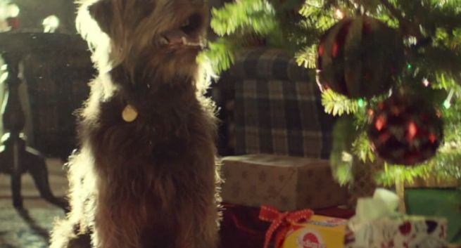 „Wesołych Psiąt” w bożonarodzeniowej kampanii Pedigree (wideo)