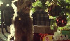 „Wesołych Psiąt” w bożonarodzeniowej kampanii Pedigree (wideo)