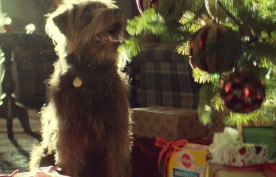 „Wesołych Psiąt” w bożonarodzeniowej kampanii Pedigree (wideo)