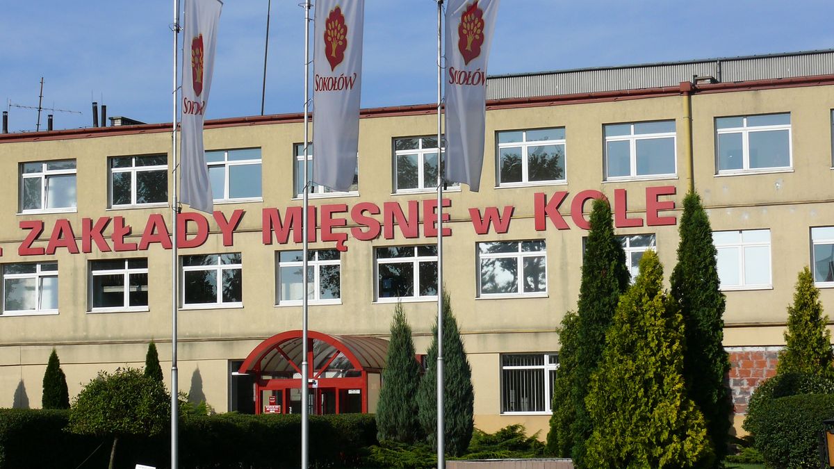 Ognisko koronawirusa w Zakładach Mięsnych w Kole.