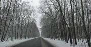 Będzie padać śnieg, a na drogach ślisko. IMGW ostrzega