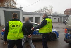 Gang Olsena po polsku. Złodziej oferma i seria niefortunnych zdarzeń