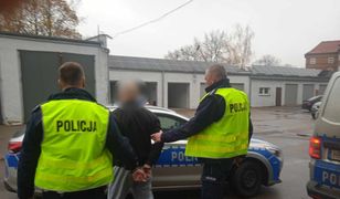 Gang Olsena po polsku. Złodziej oferma i seria niefortunnych zdarzeń