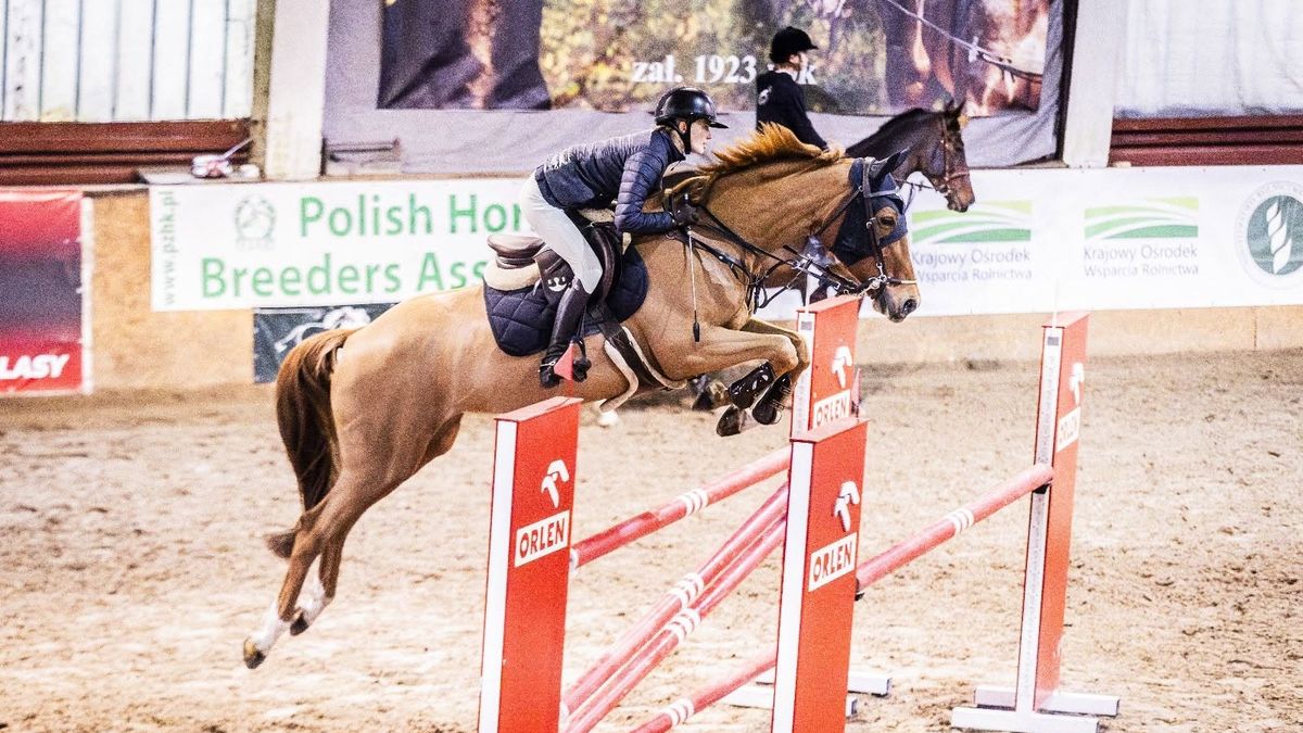 Zawody w skokach przez przeszkody 