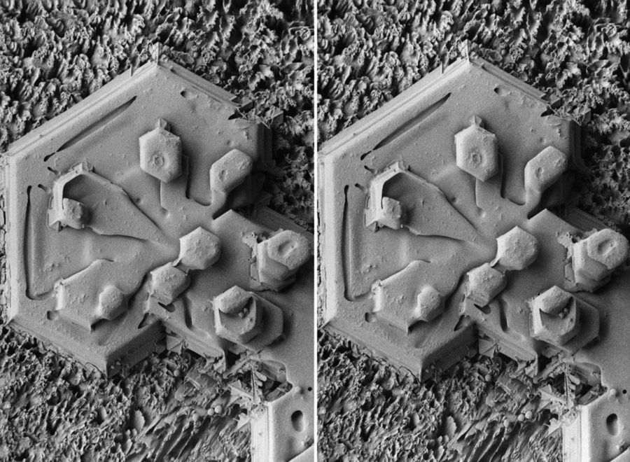 Zdjęcia płatków śniegu zostały wykonane za pomocą mikroskopu elektronowego i pochodzą z kolekcji Beltsville Agricultural Research Center.