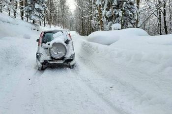 To nie fotomontaż. Leśnicy pokazali zdjęcie
