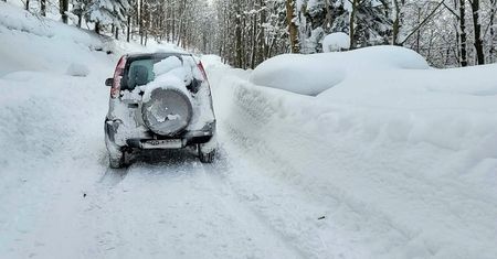 To nie fotomontaż. Leśnicy pokazali zdjęcie