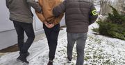 Poznań: Od rutynowej kontroli do rozbicia narkobiznesu. Areszt po zabezpieczeniu kilku kilogramów mefedronu