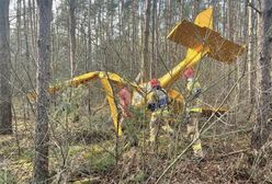 Awionetka spadła na las. Tragiczny wypadek w Wielkopolsce