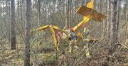 Awionetka spadła na las. Tragiczny wypadek w Wielkopolsce
