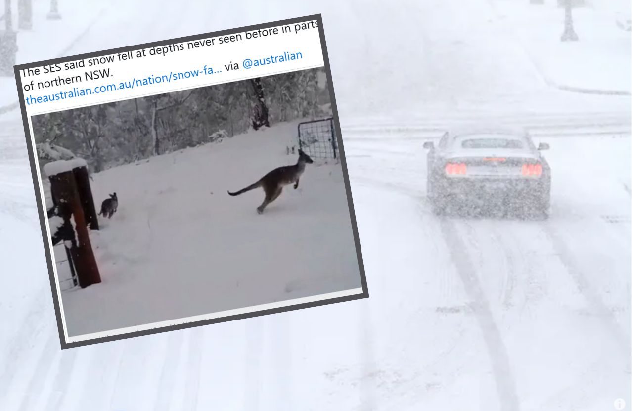 Auta w zaspach, ludzie bez prądu. Śnieżna burza paraliżuje Australię