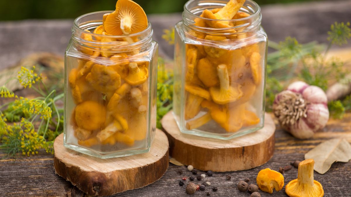 Kiszone kurki staną się hitem w każdym domu