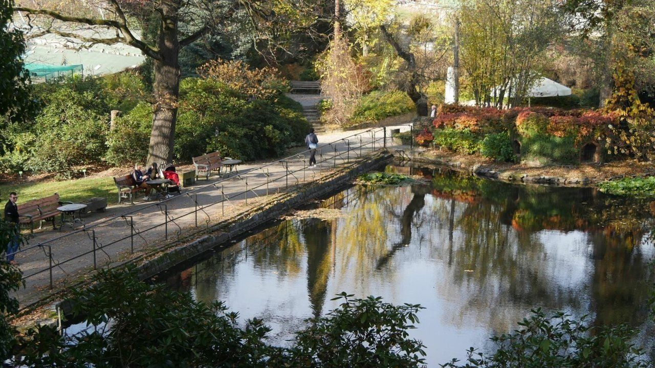 Arboretum Wojsławice