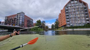 Bydgoszcz: Posprzątali las na Osowej Górze. Kolejna udana akcja Fundacji Zielone Jutro