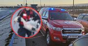 Włocławek: Zakrwawiony łabędź na lodzie. WOPR w trudnej akcji na Wiśle