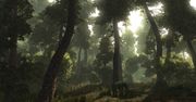 Galeria: Risen