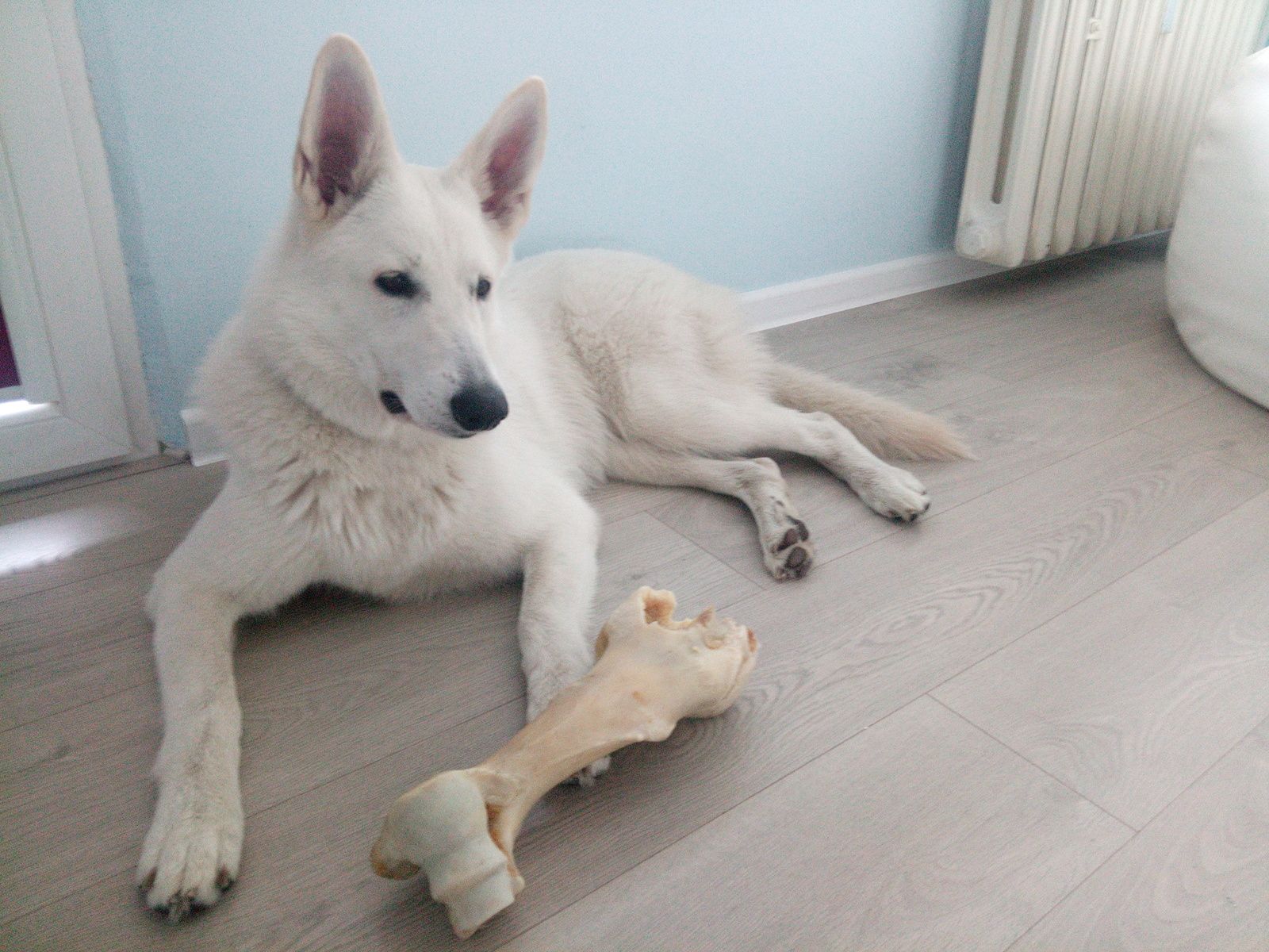 Test Elephone P9000. Smartfon tani, piękny i radzący sobie z grami 3D 15