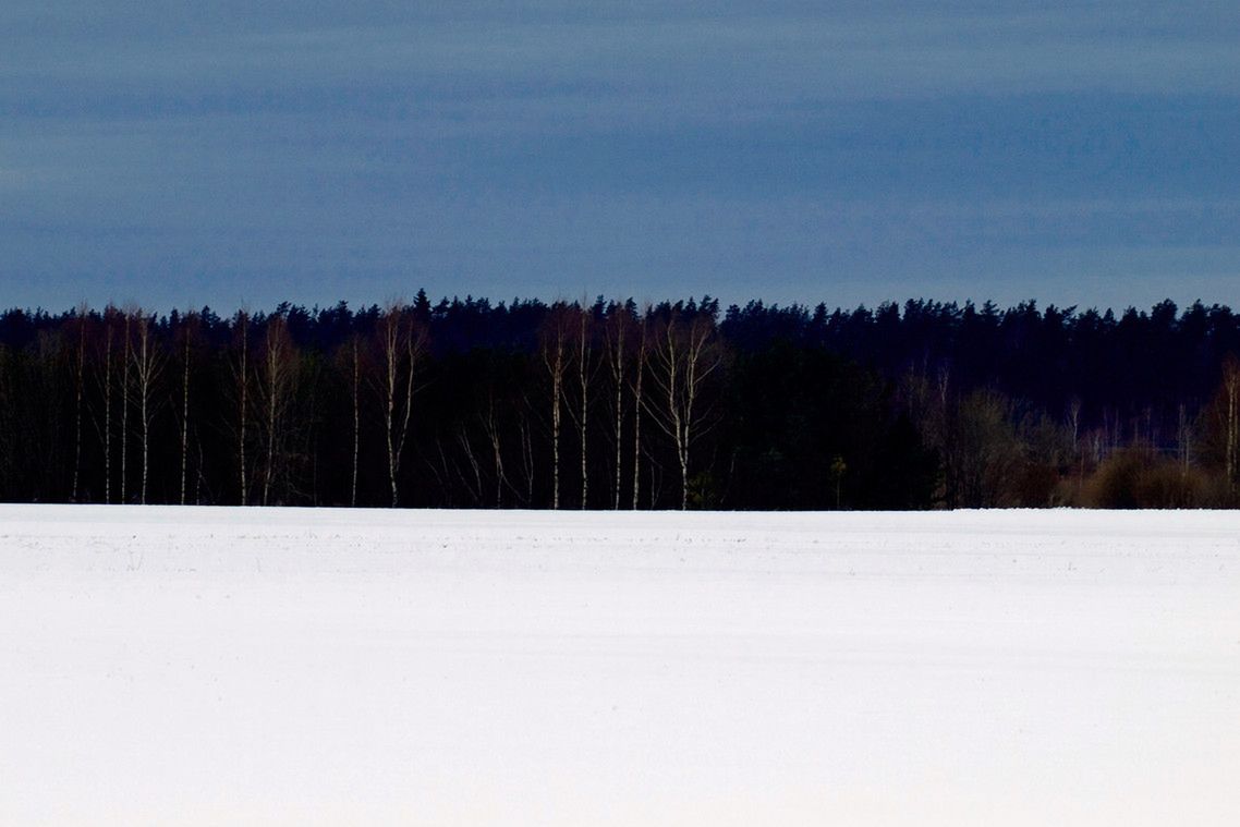 Estońskie barwy narodowe: krajobraz inspiracją dla flagi? (źródło: Wikimedia)