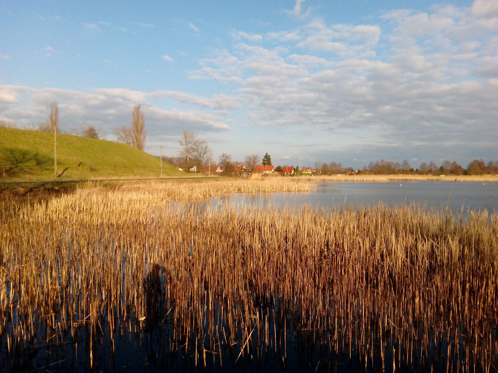 Honor Holly: da się polubić, o ile damy mu nieco czasu 10